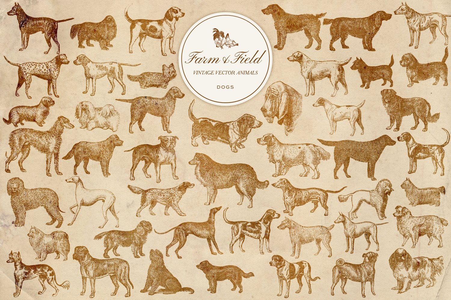 vintage vector farm and domestic animal graphic engravings