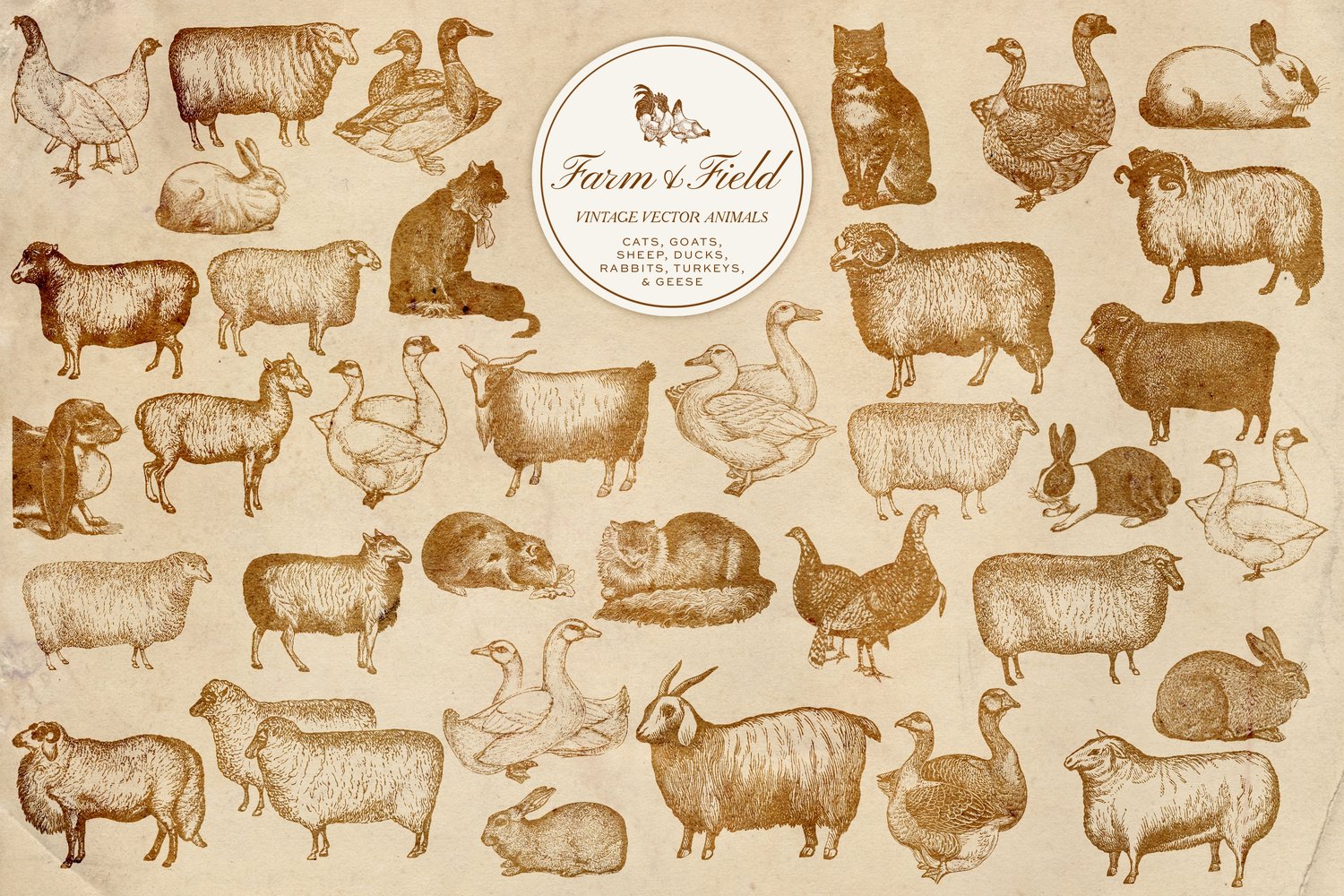 vintage vector farm and domestic animal graphic engravings