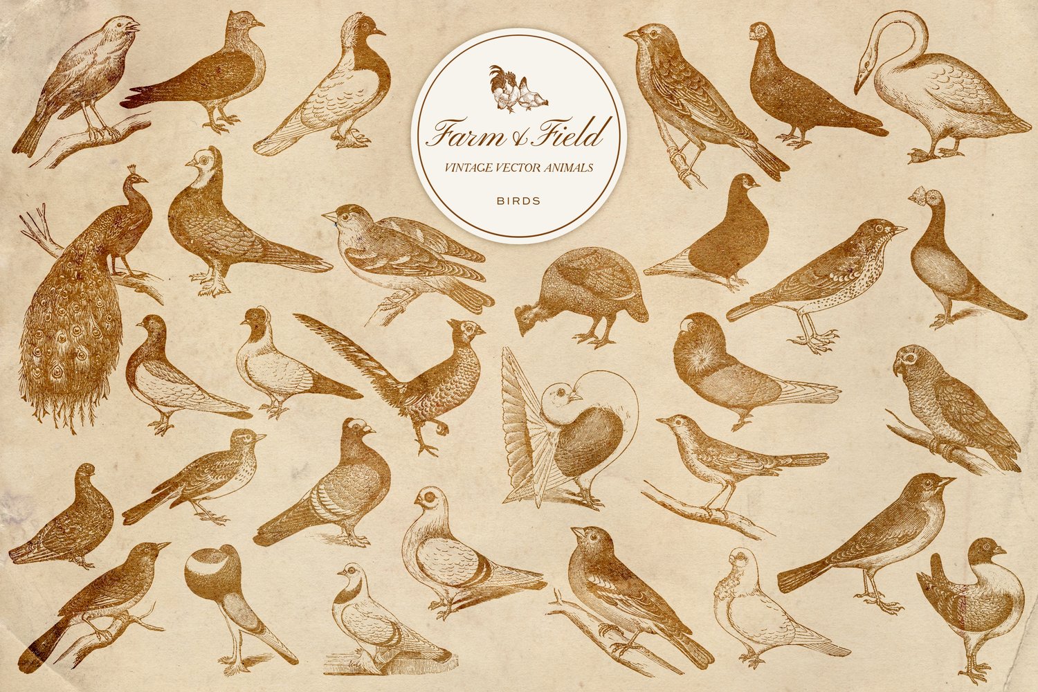 vintage vector farm and domestic animal graphic engravings