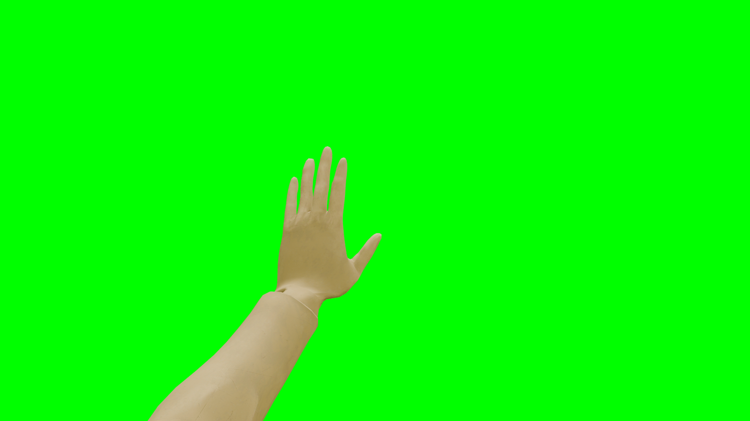 Wait Hand Gesture