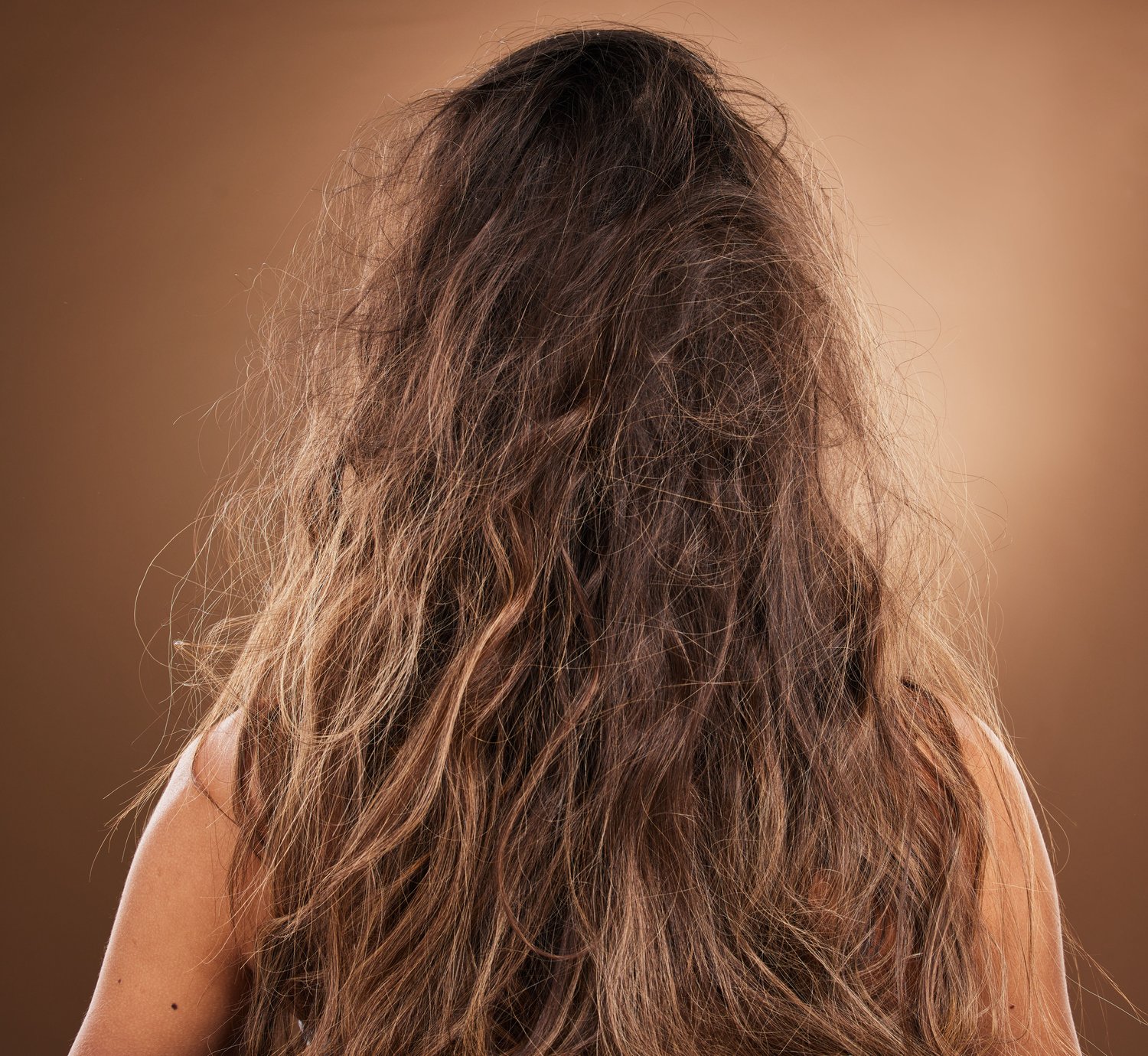 hydrating shampoo for frizzy hair