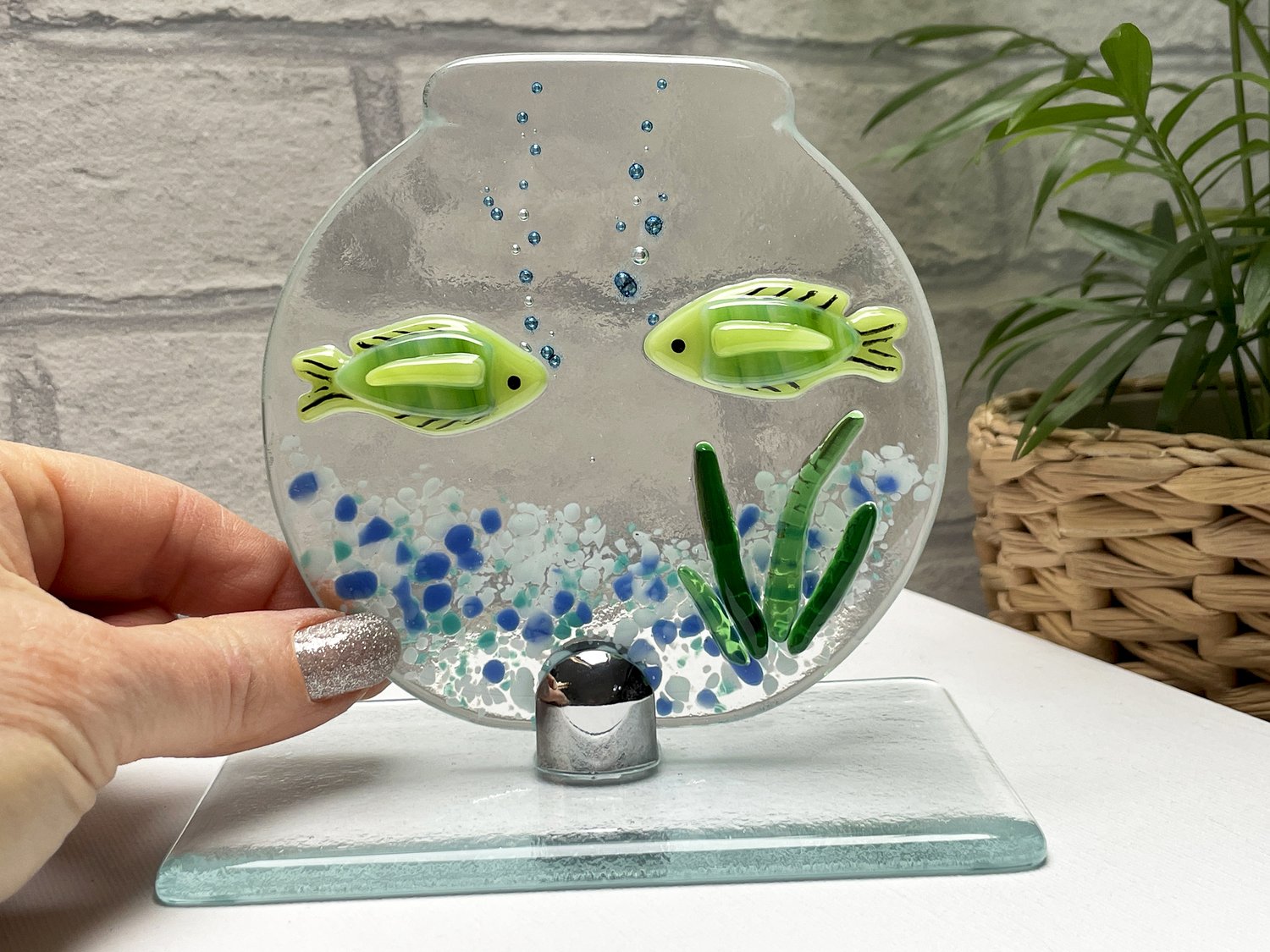 olivenbaum pflanzen in deutschland Olivenbaum Olea Europaea Cultivo | 230cm