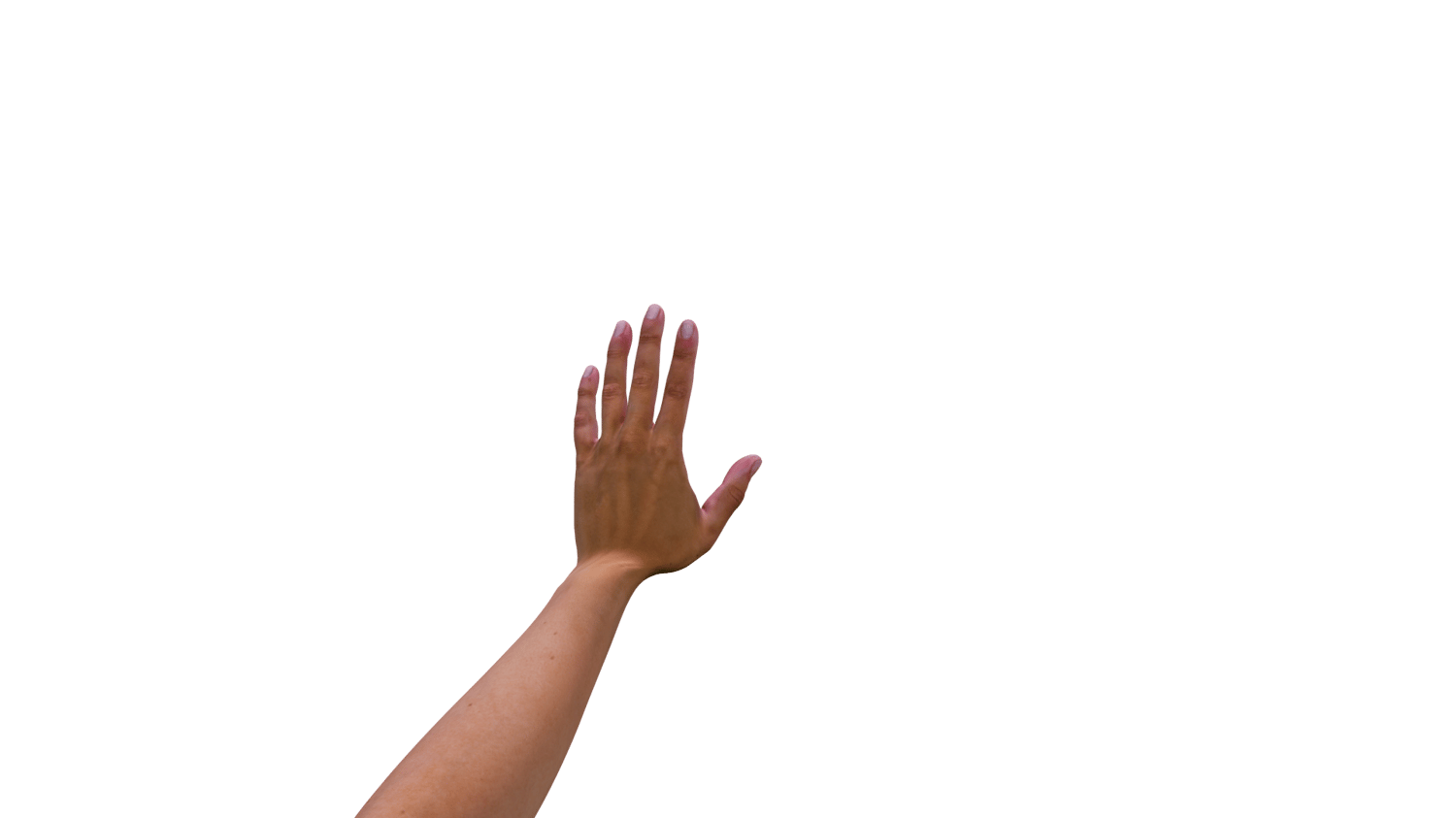 Wait Hand Gesture