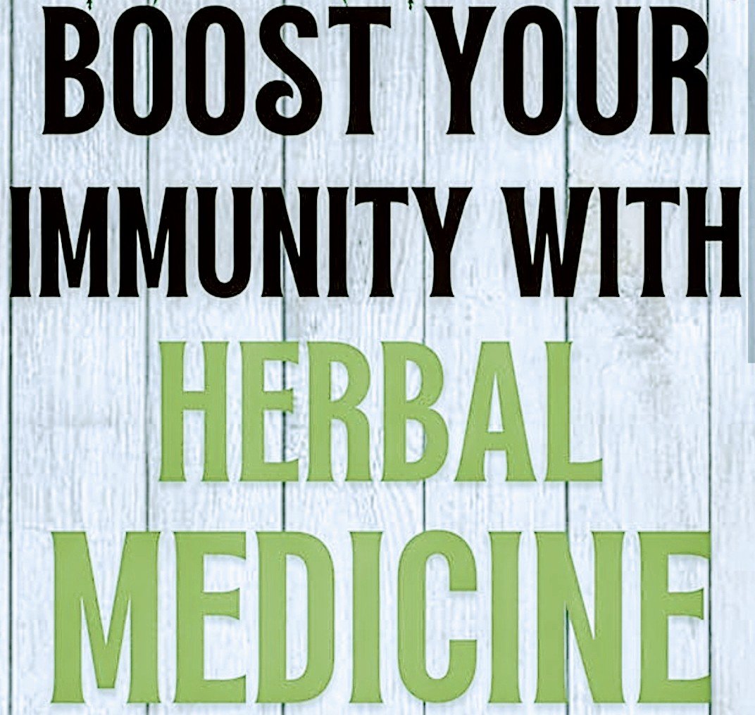 Herbal Medicine for Immune System