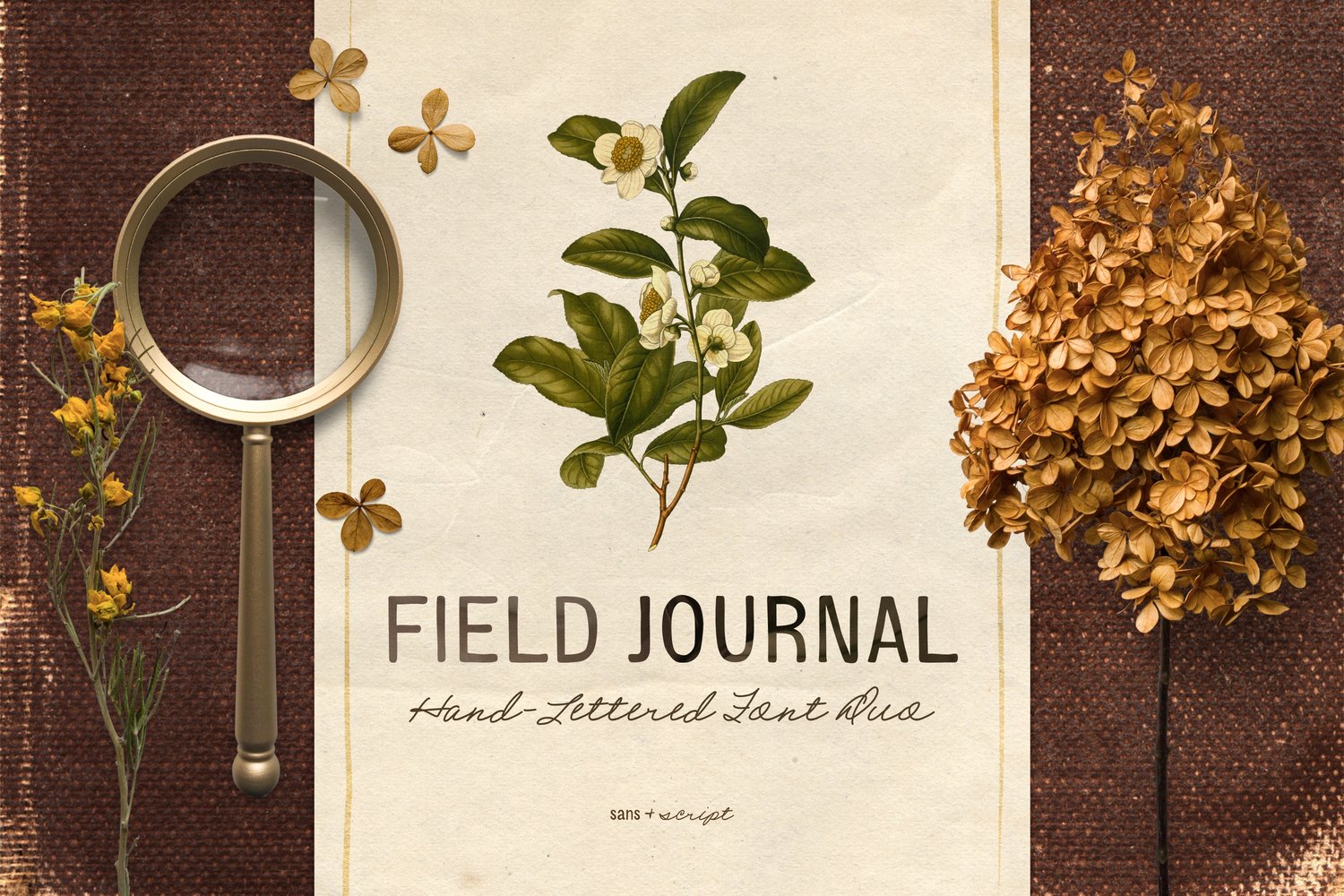 Field Journal Sans font is a multilingual vintage-inspired sans serif font with imperfect edges to add a rustic touch