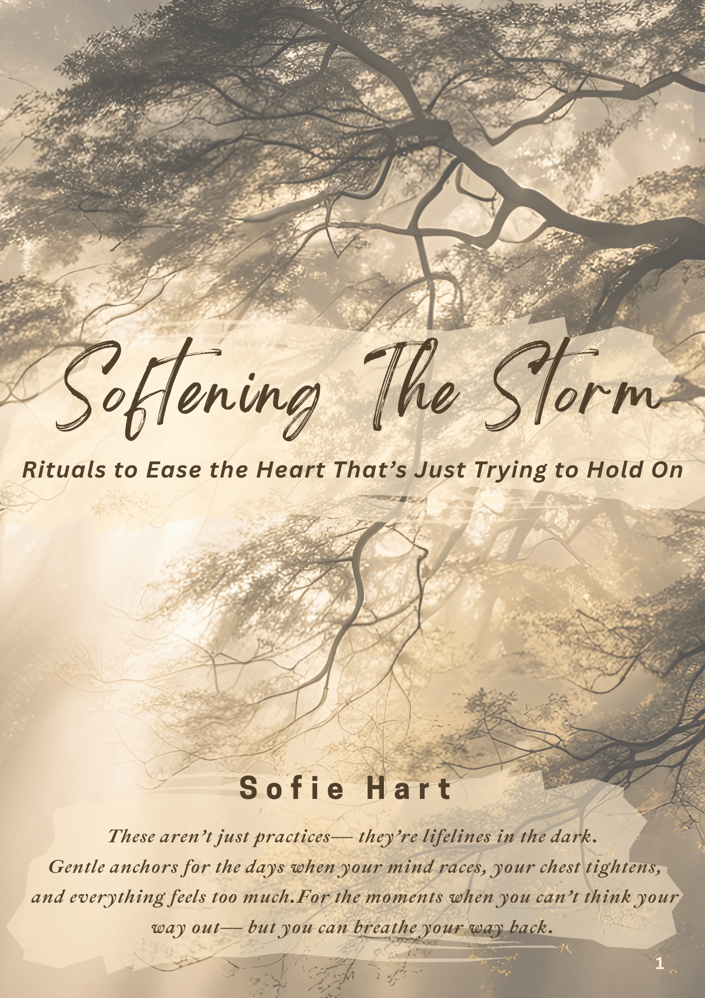 healing ebook for the anxious heart