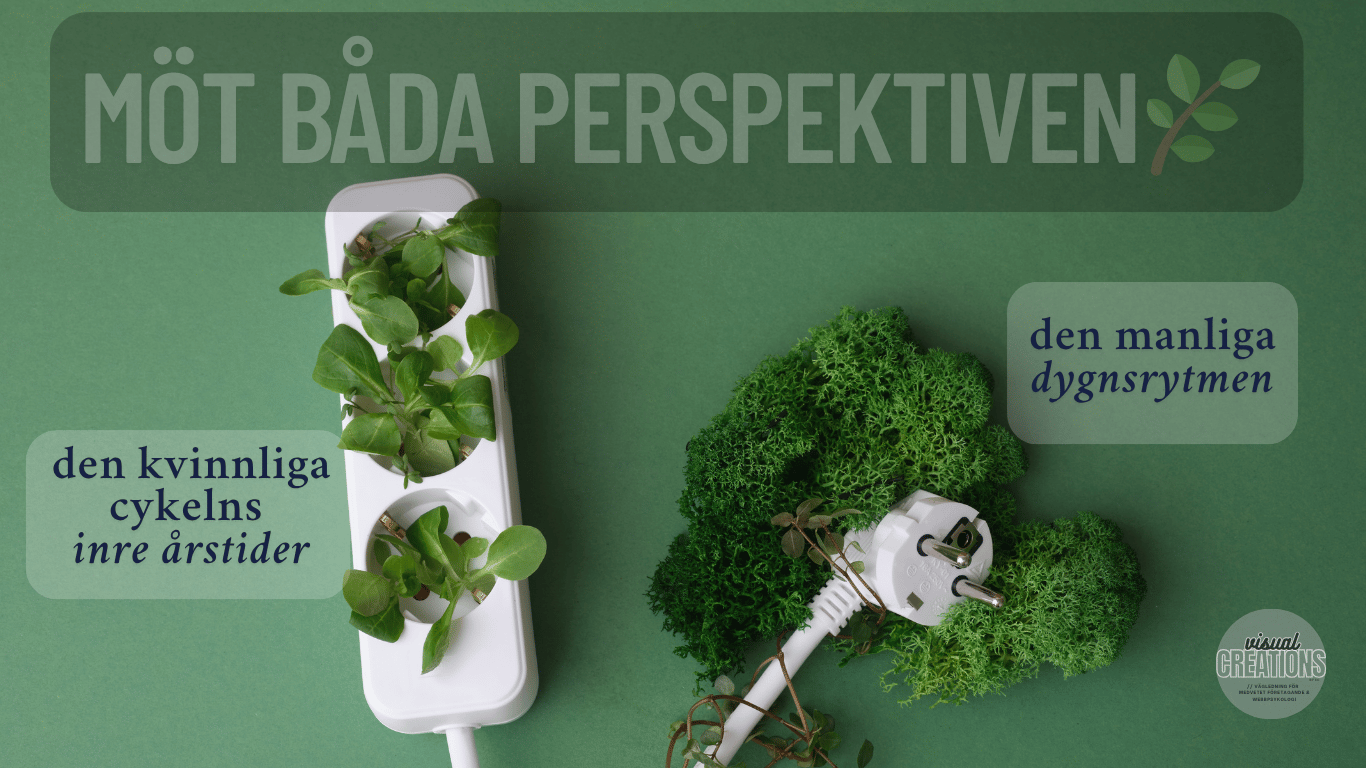 Möt båda perspektiven