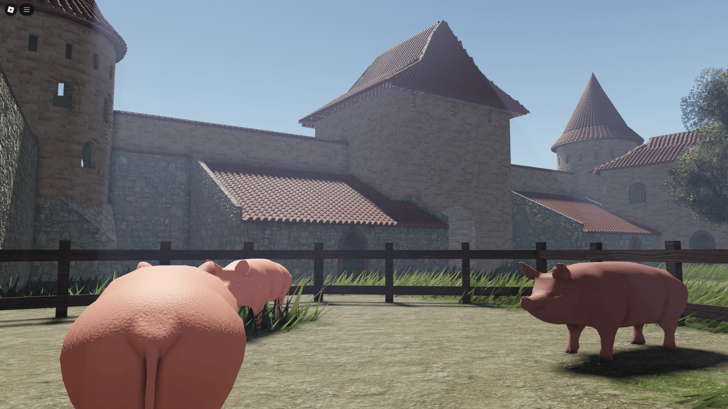 Interior courtyard of the castle with walkways and roleplay-ready zones