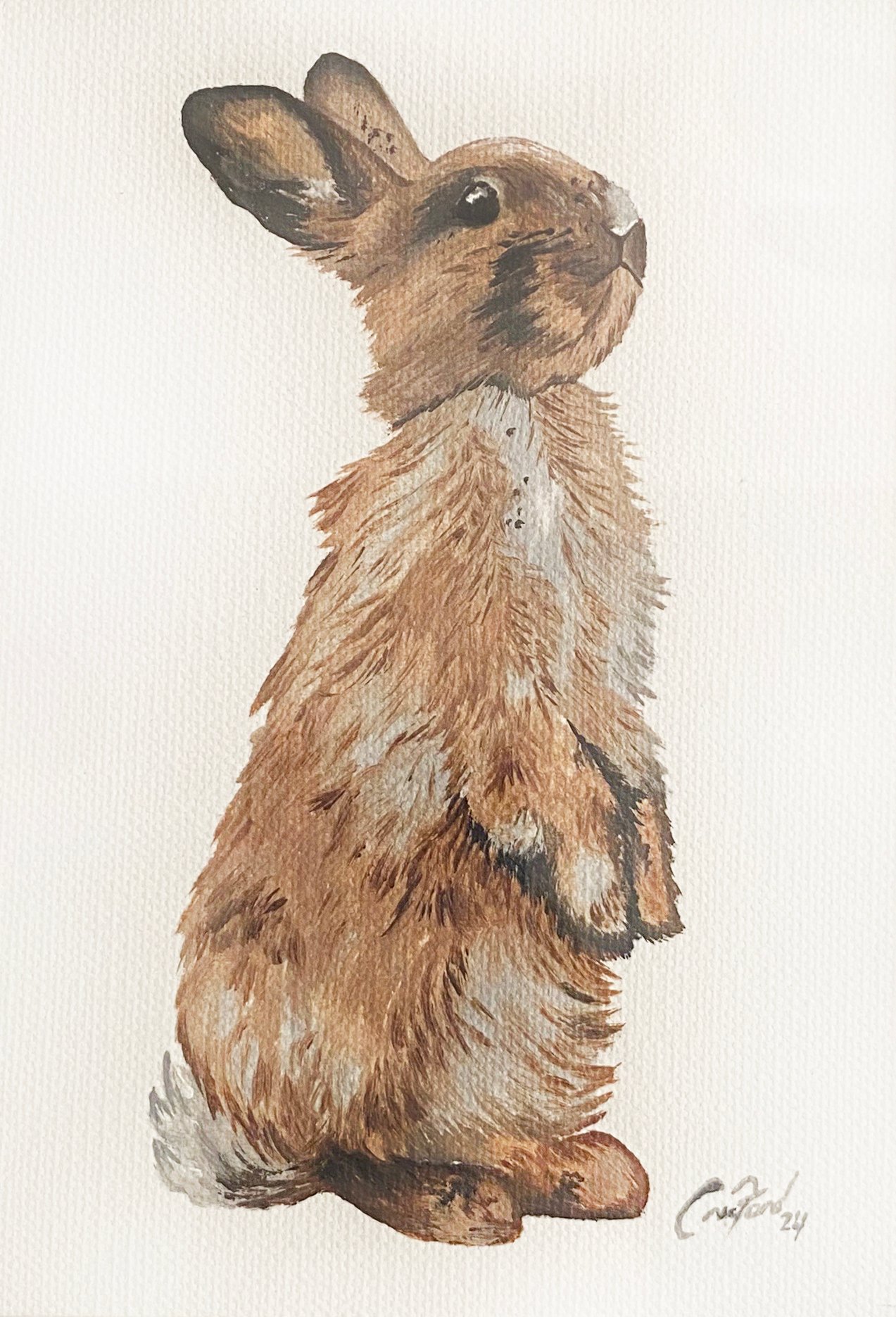 custom art, interior design, oil painting, wild life art, paintings, art, trending, unique art, Cindy Crawford, fine art painting, Crawford Fine Art, bunny art