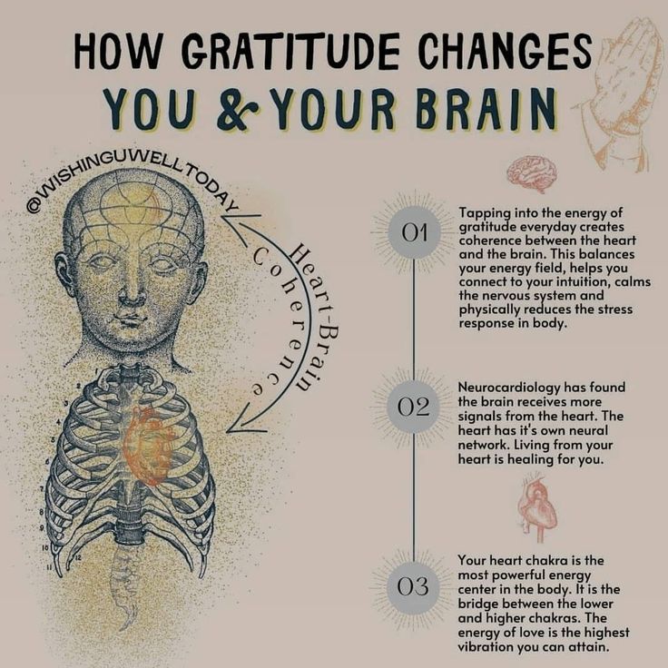 brain and gratitude