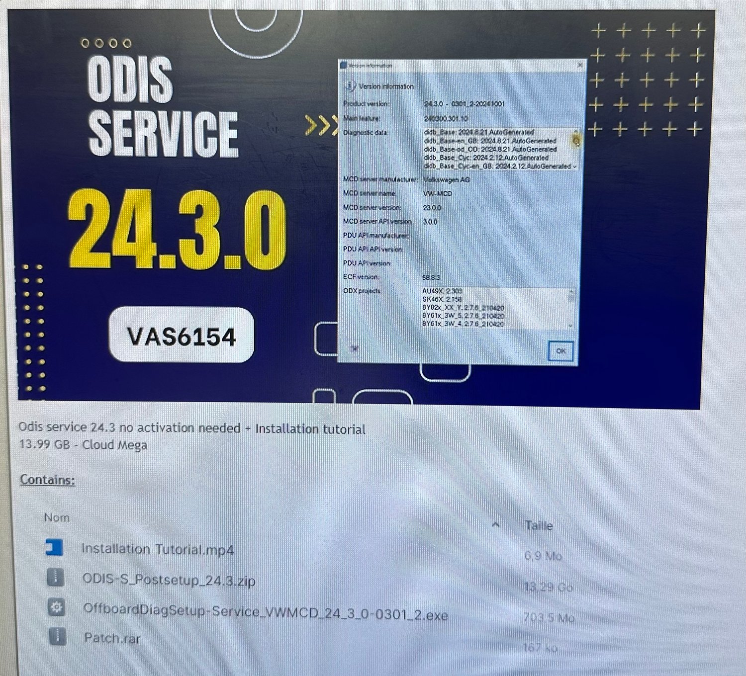ODIS 24.3 FULL + Patch + Video Tutorial