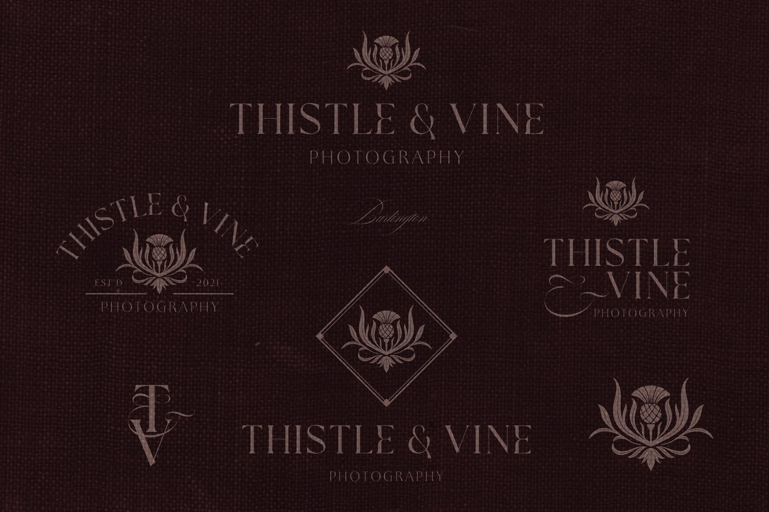 hand drawn vintage-inspired thistle and leaf illustration canva logo