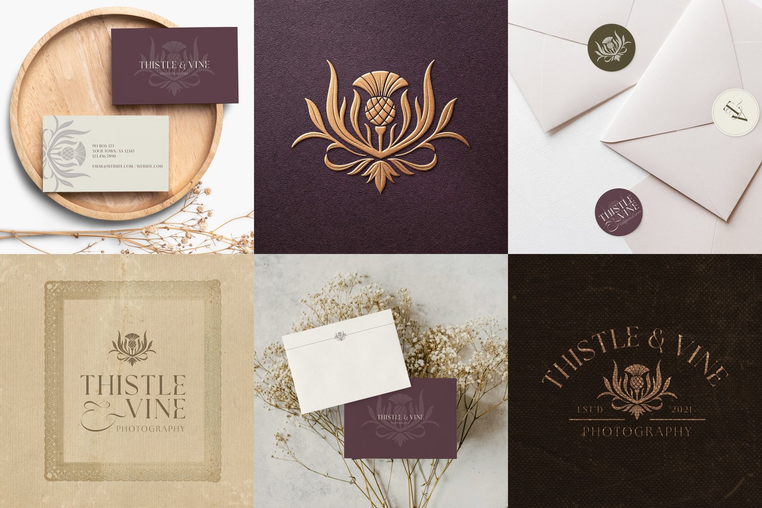 hand drawn vintage-inspired thistle and leaf illustration canva logo