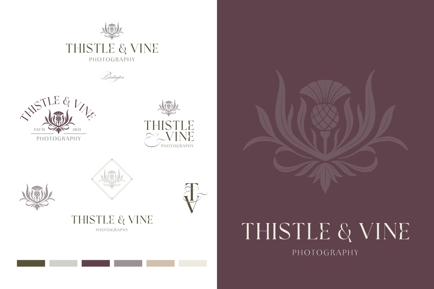 hand drawn vintage-inspired thistle and leaf illustration canva logo