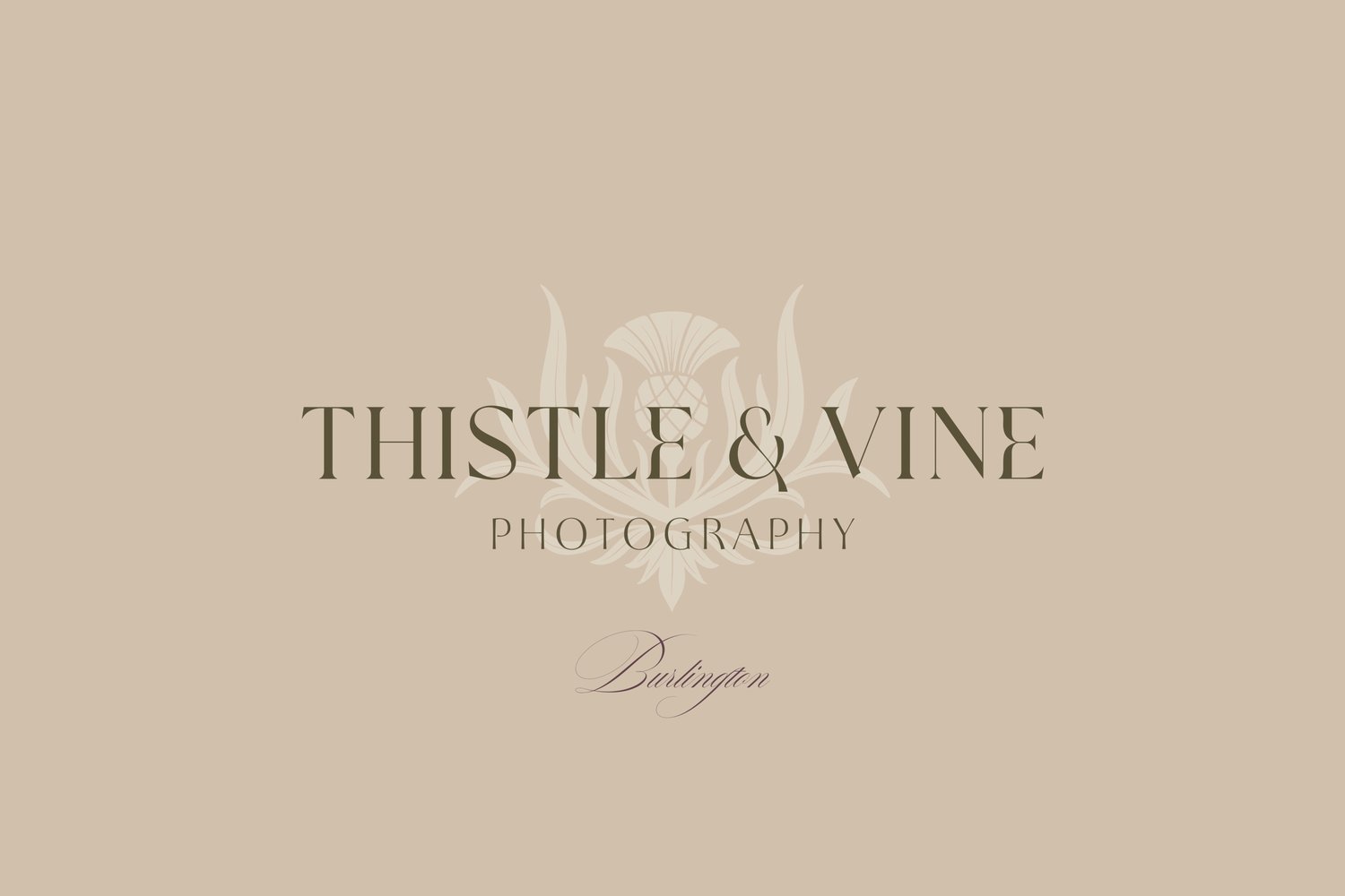 hand drawn vintage-inspired thistle and leaf illustration canva logo