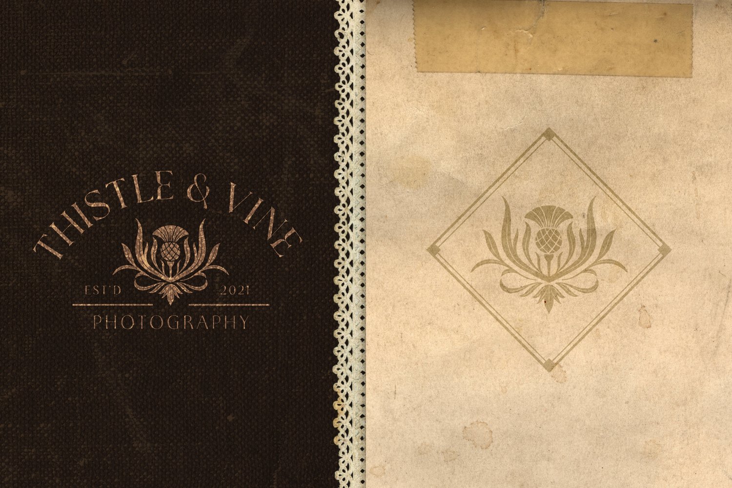 hand drawn vintage-inspired thistle and leaf illustration canva logo