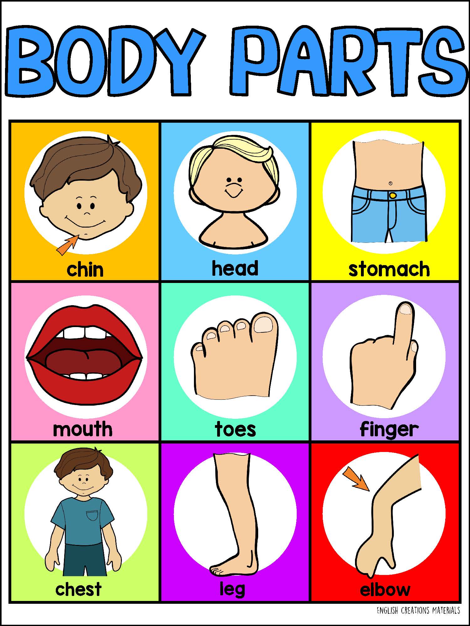 BODY PARTS bingo English