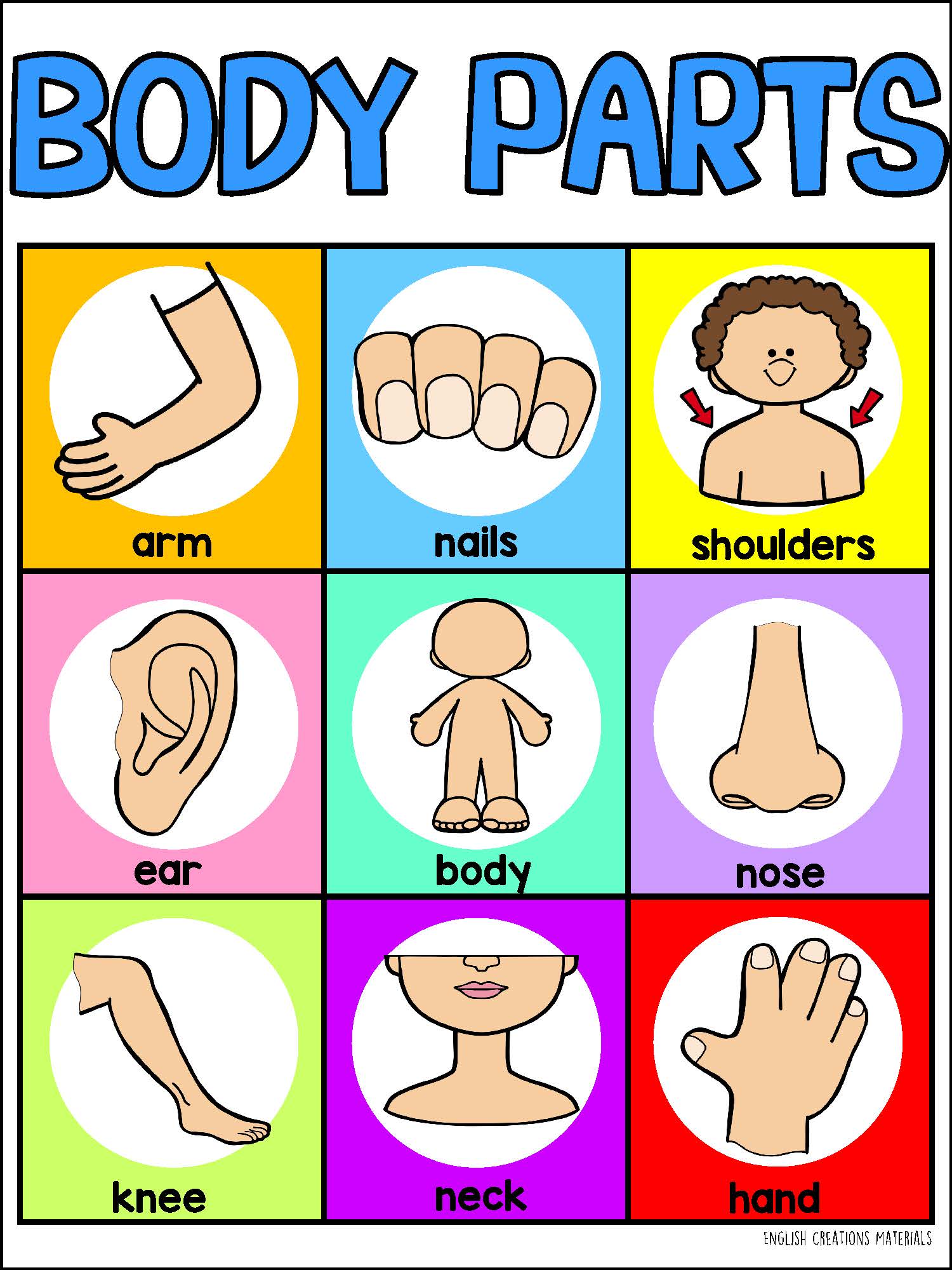 BODY PARTS bingo English