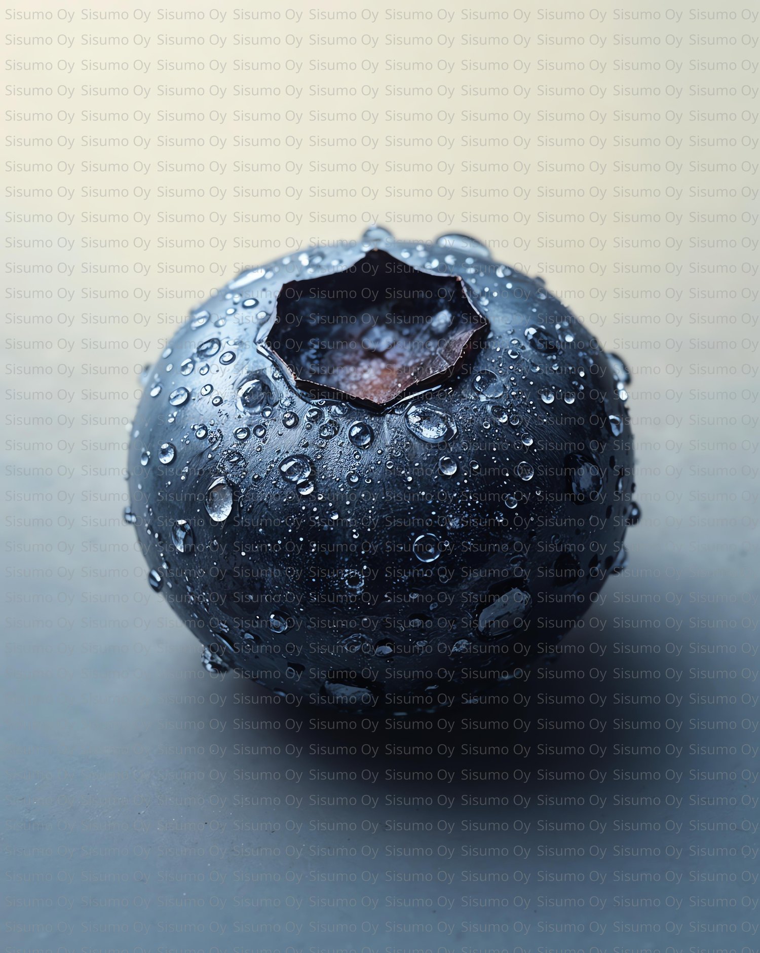 A close-up photograph of a single fresh blueberry covered in small water droplets. The berry has a smooth, dark blue surface with a matte sheen and a star-shaped calyx at the top. The soft lighting and neutral background highlight the texture and moisture