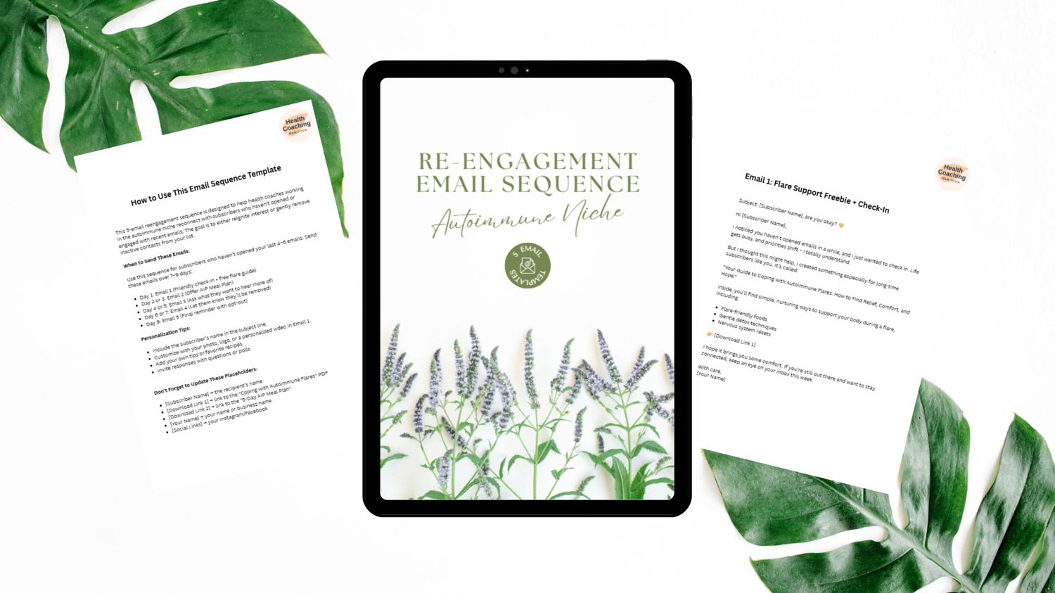 Beautiful ebook of reengagement email sequences for health coaches.