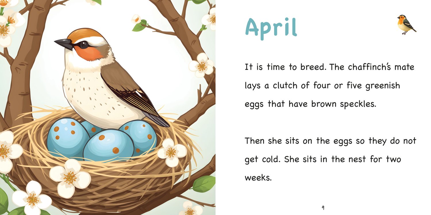 Sample spread from the Chaffinch book, featuring a brightly illustrated chaffinch and easy-to-read, decodable text for children aged 5 to 7