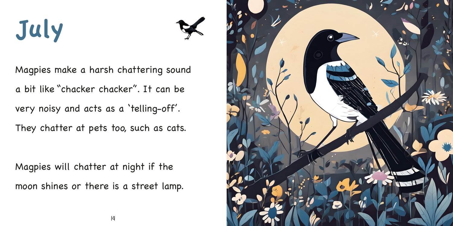 Sample pages from the Magpie book, showing a vividly illustrated magpie and decodable text aimed at early readers aged 5 to 7