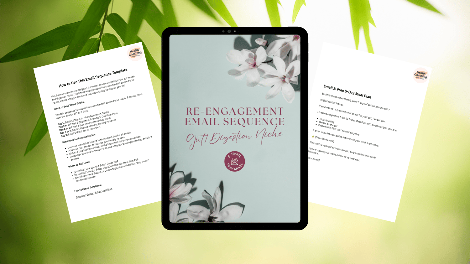 Gut Health Email Reengagement Sequence
