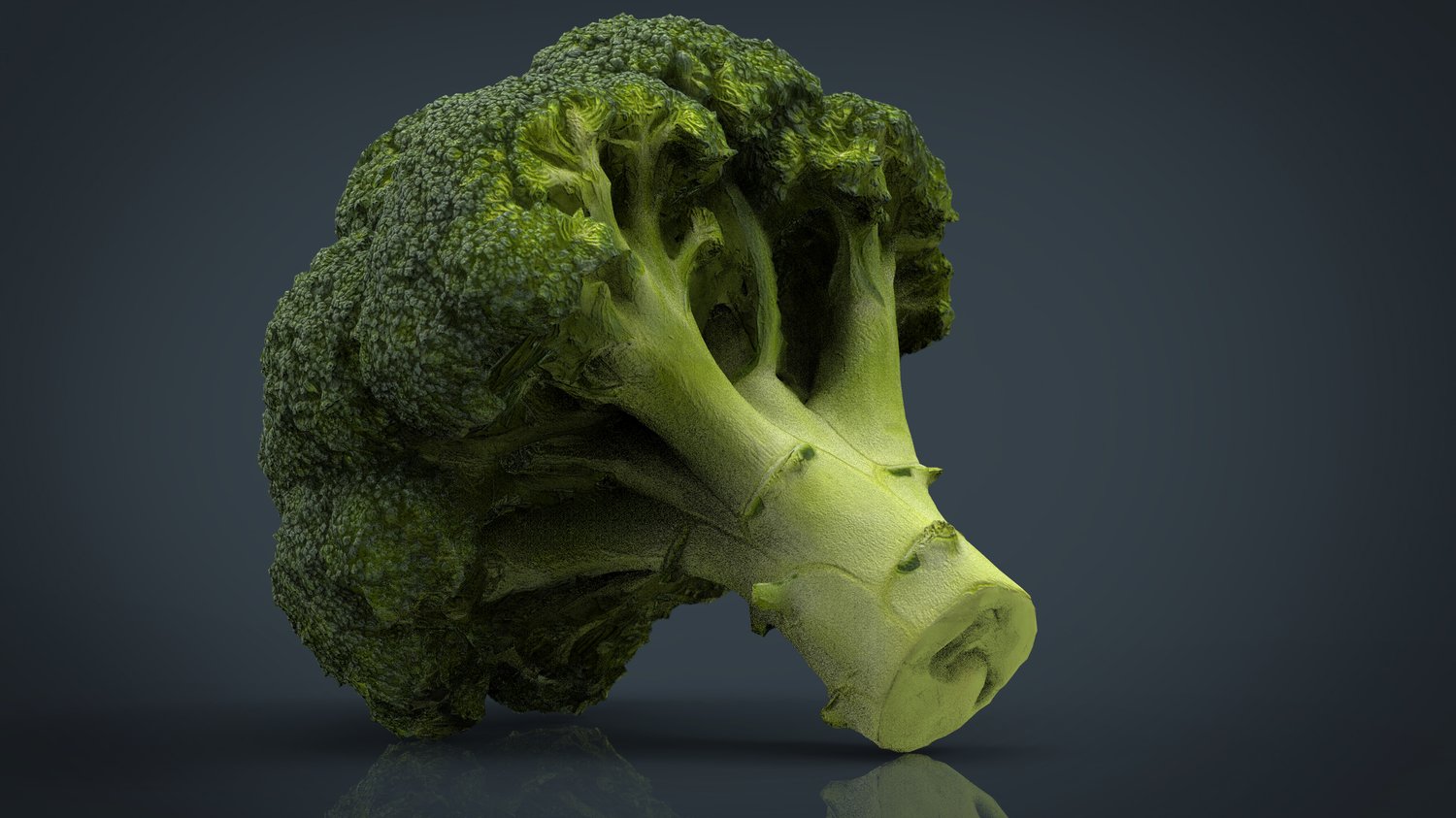 Broccoli 3D Model