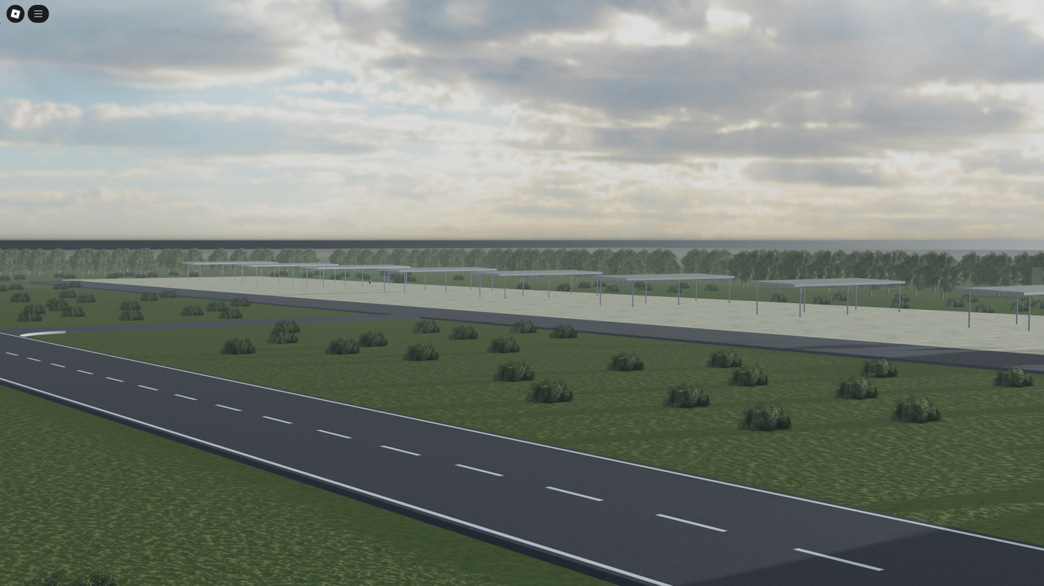 Runway with bushes and foliage detail