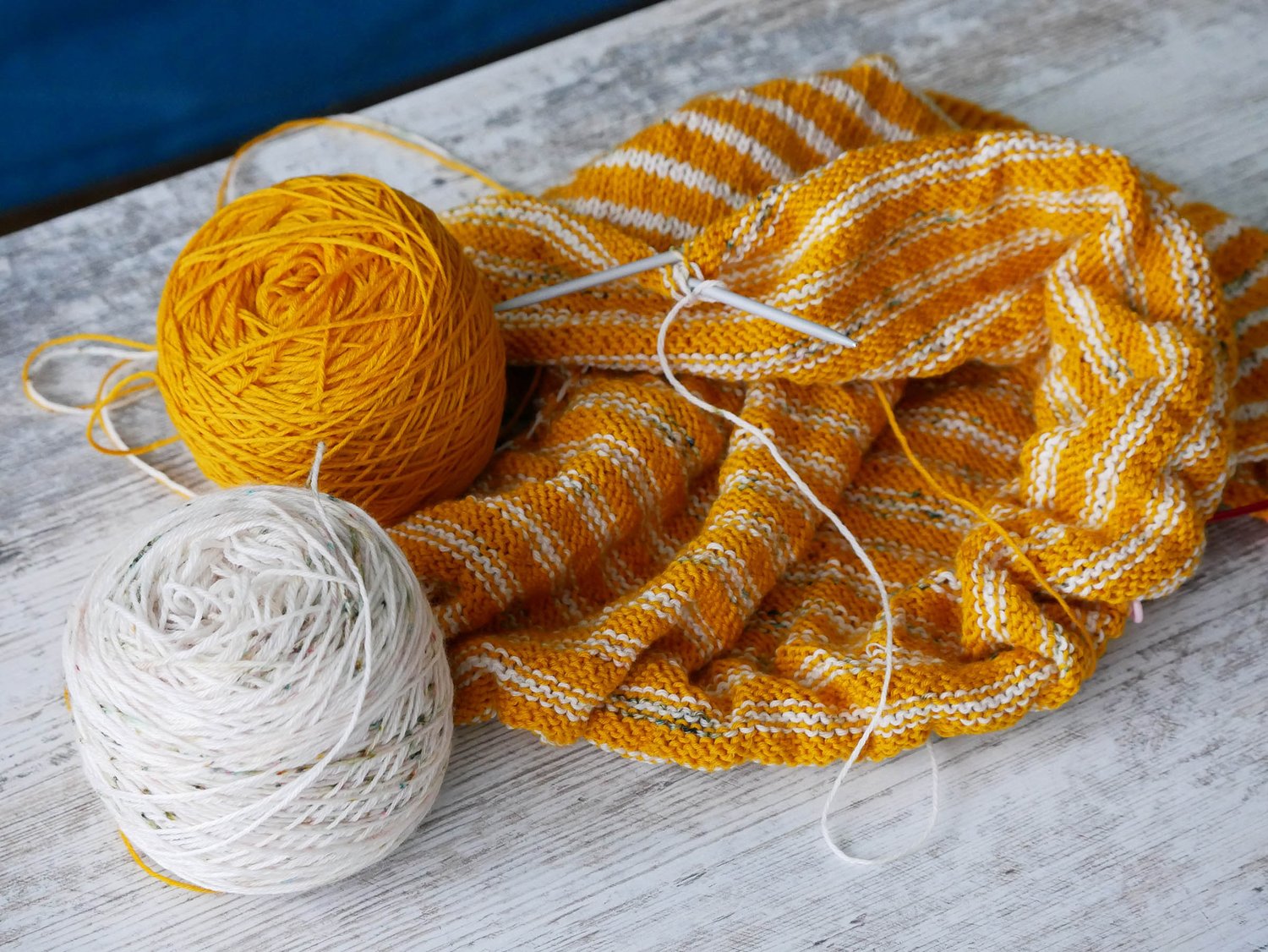 A knitting project on circular needles.