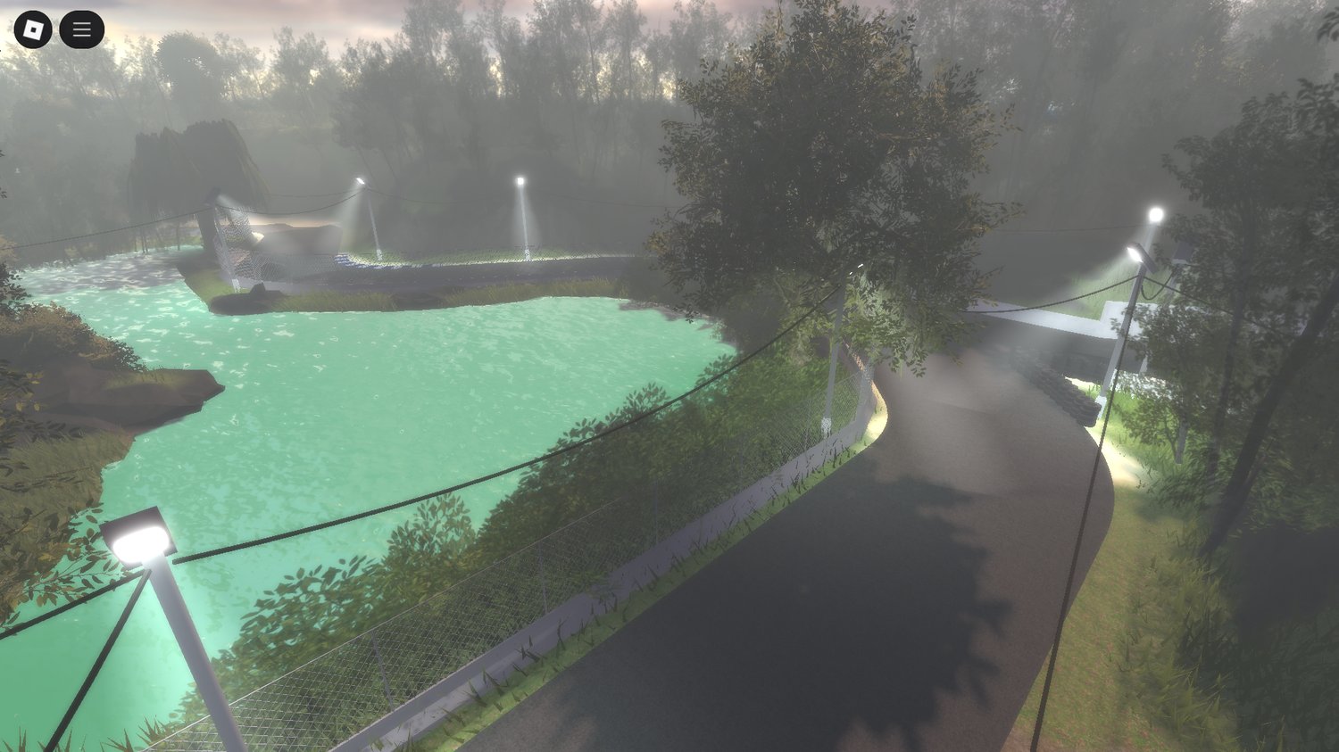 Lakeside scenery with trees and drift road