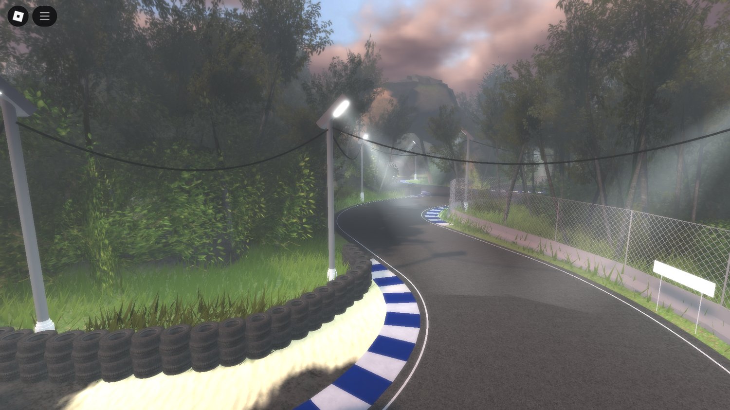 Forest-lined drift road with horizon in view