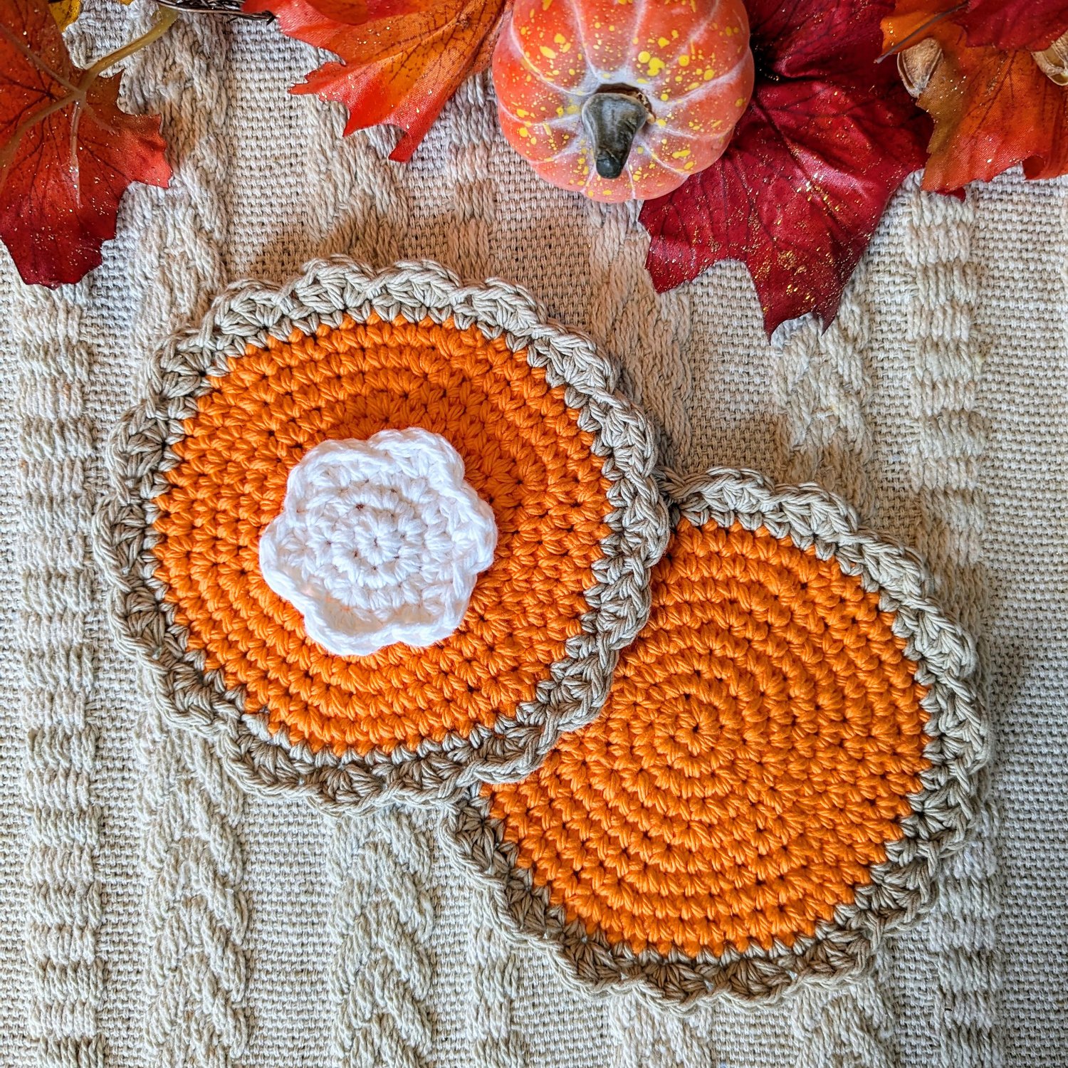 Pumpkin Pie Coaster