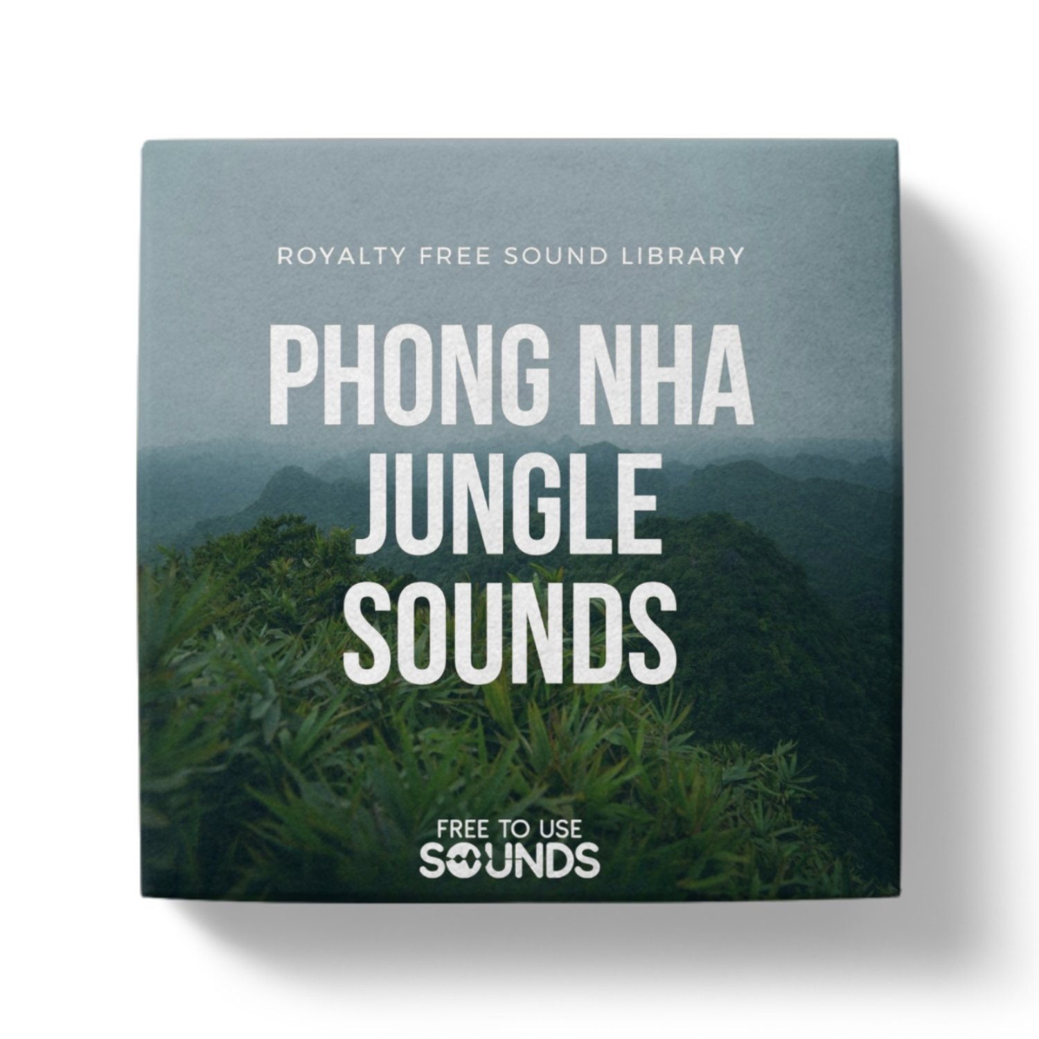 Nature Sounds from Vietnam