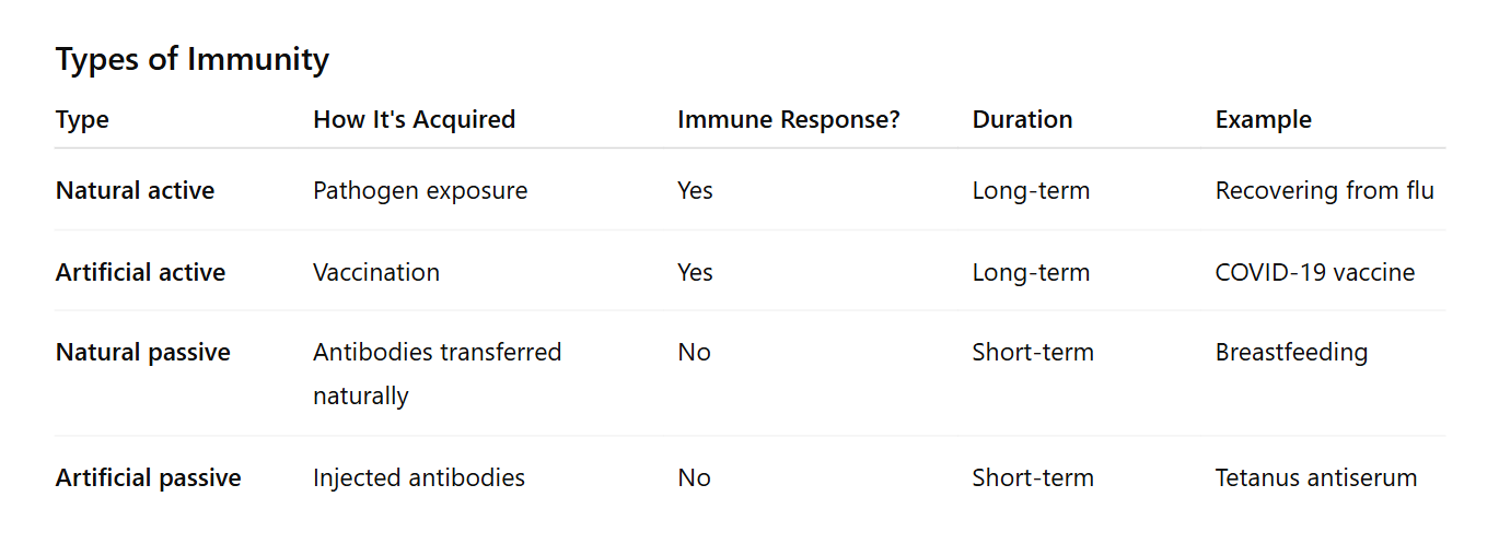 types of immunity. Artificial, natural, active and passive immunity. 1st Rank Biology. VCE, free notes