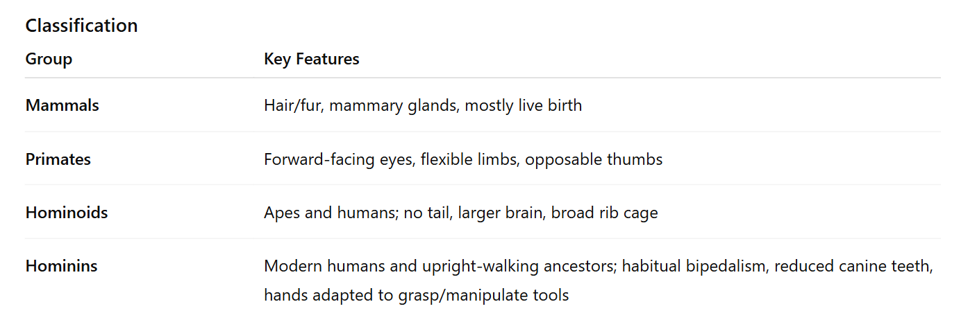 classification, hominins, hominoids, apes, primates, vce biology