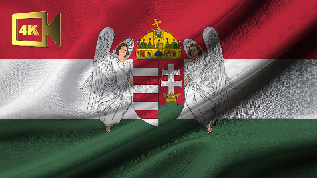 Austria-Hungary (unofficial ) flag