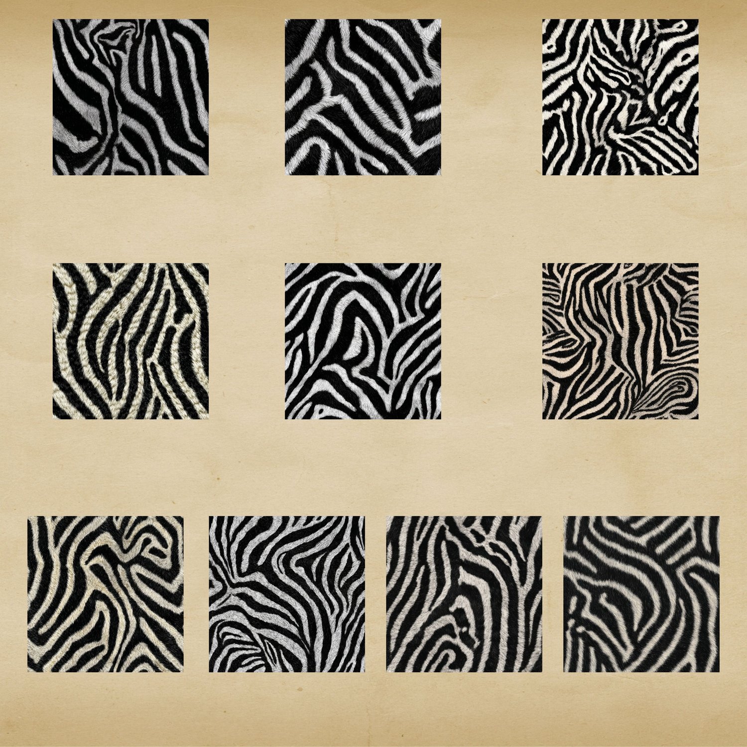 Zebra Pattern Large Realistic Zebra Print Seamless Patterns Digital Download Commercial Use ...