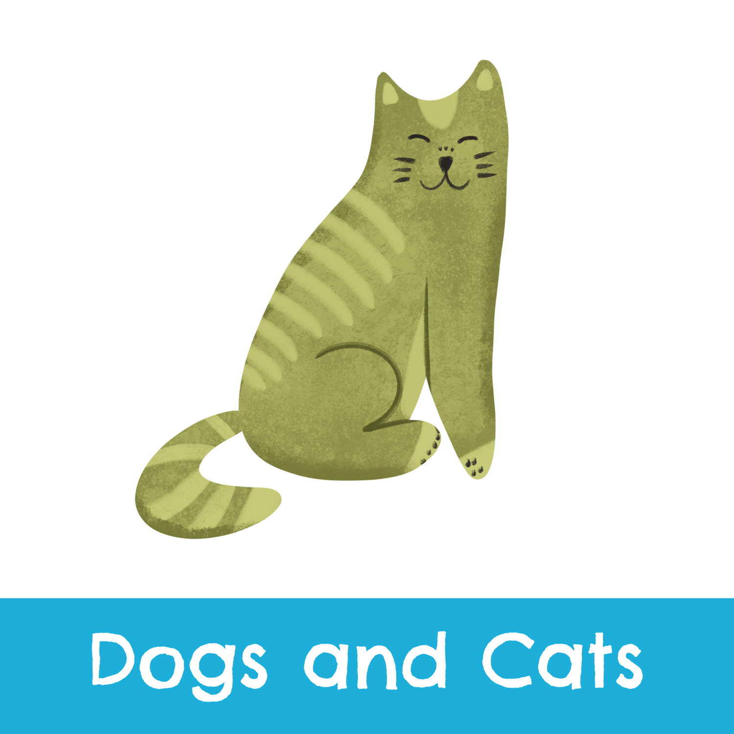 animals, cats, dogs, pets