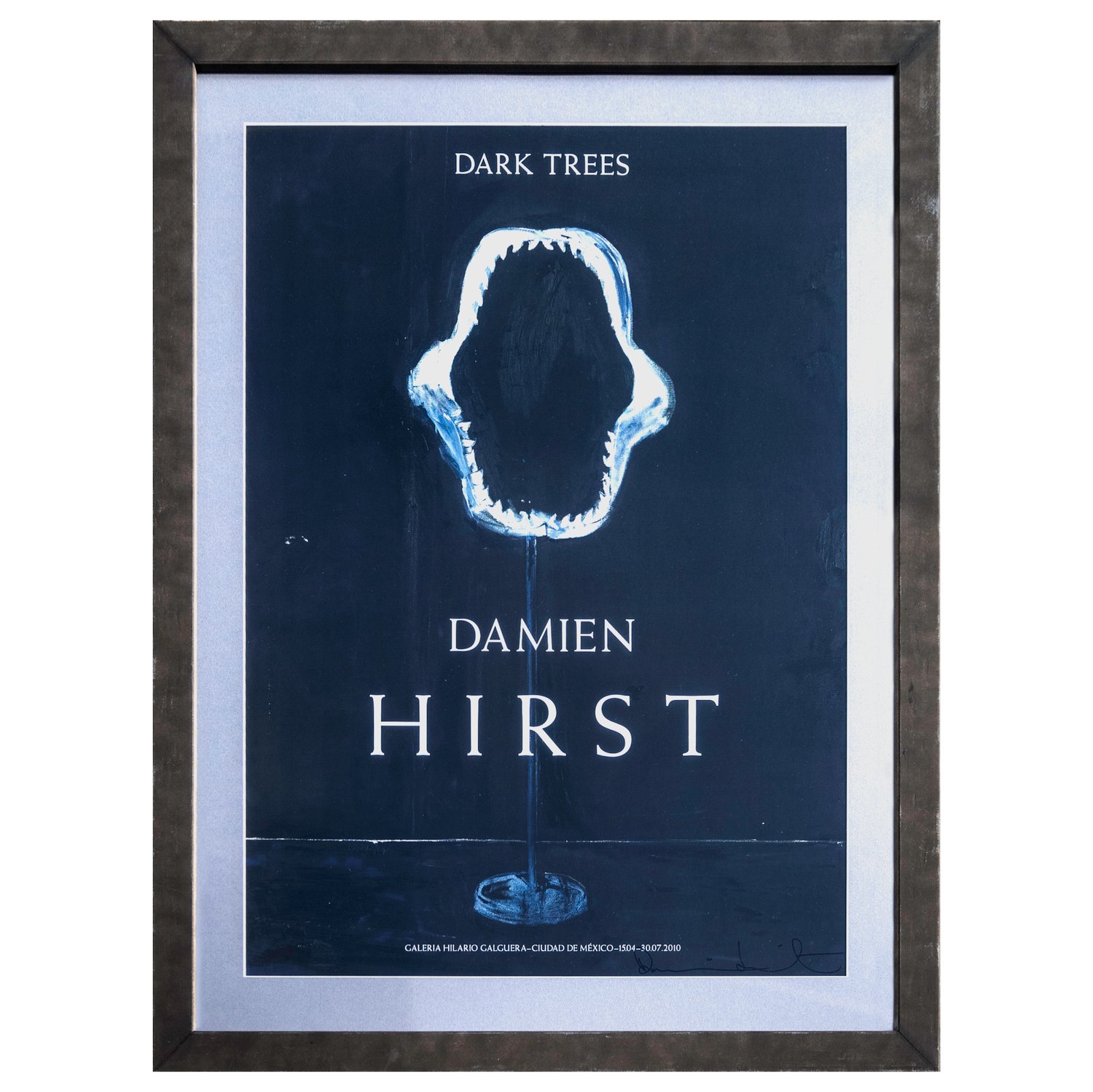額装品/Dark Trees（ダミアン ハースト）/アートポスター Damien Hirst - Dark Trees - Signed Exhibition Poster (2010), Framed