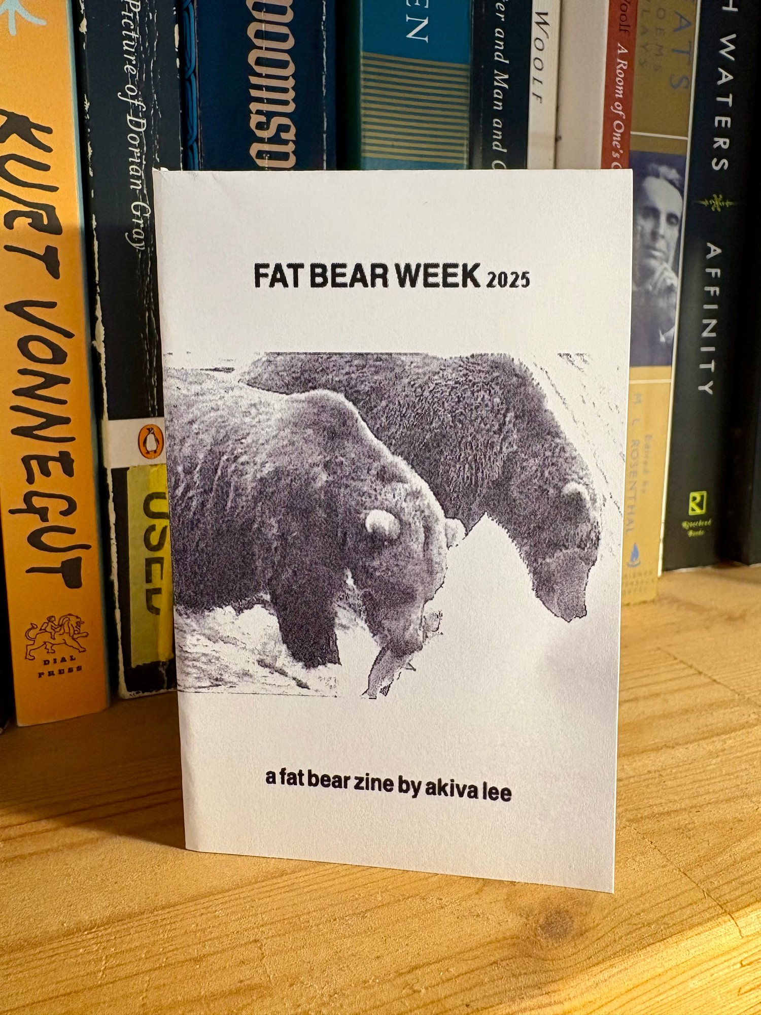 A photograph of the zine sitting on a bookshelf.