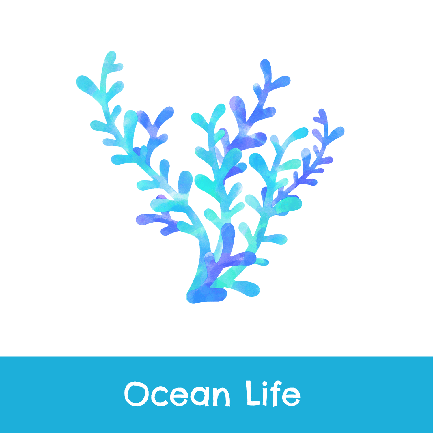 beach, ocean, sea, crabs, lobster, sea life, fish, sharks, animals, ship, sea turtles