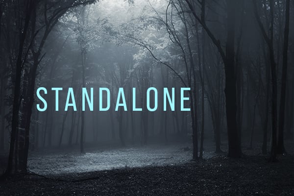 A quiet spooky forest with the word 