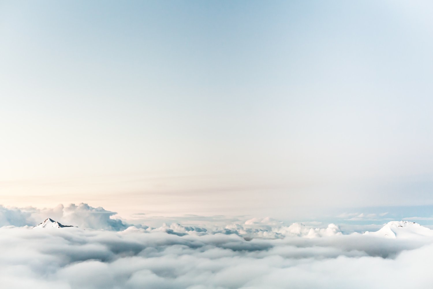 Digital Marketing Services