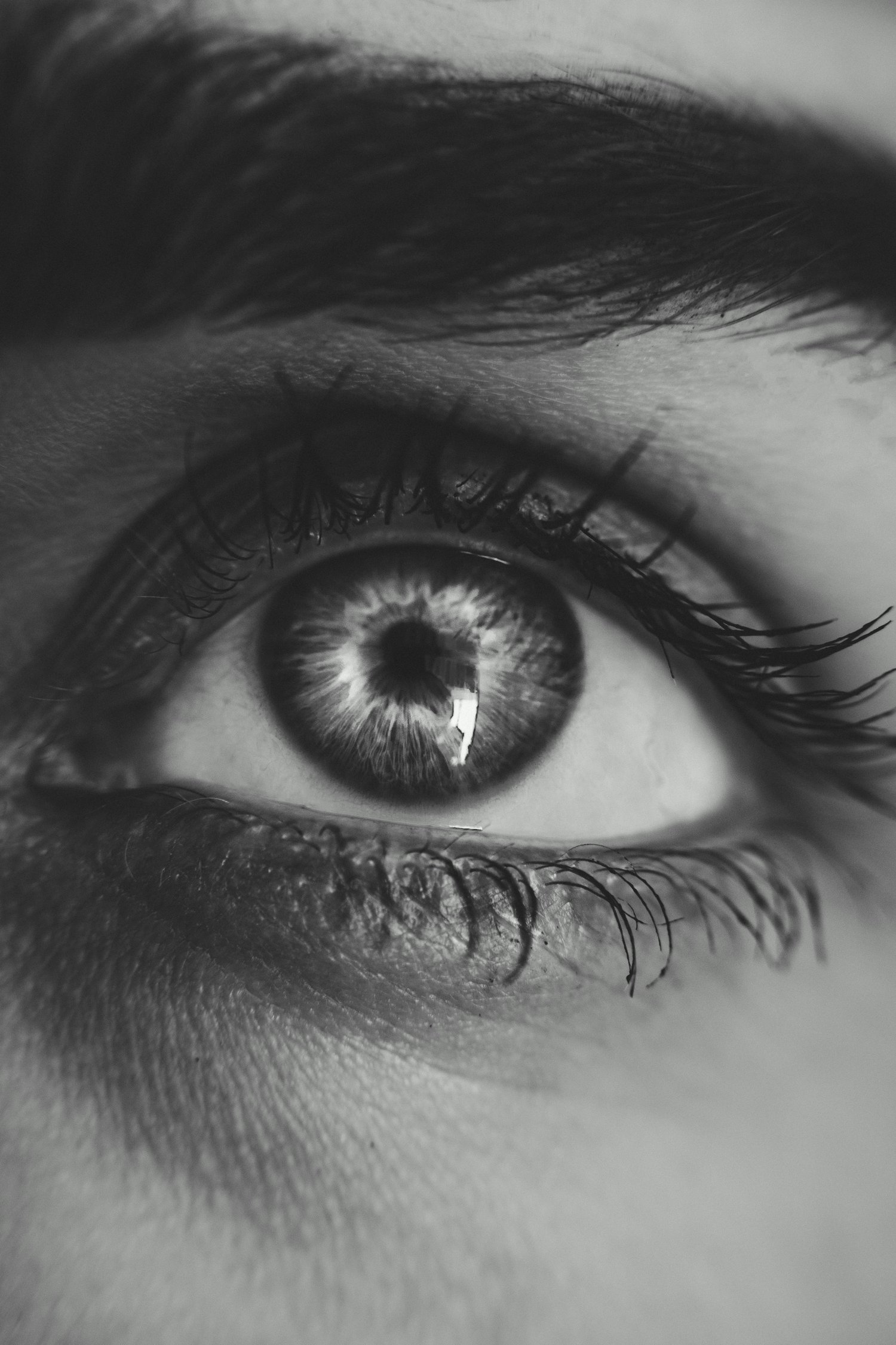 Close up picture of womans left eye