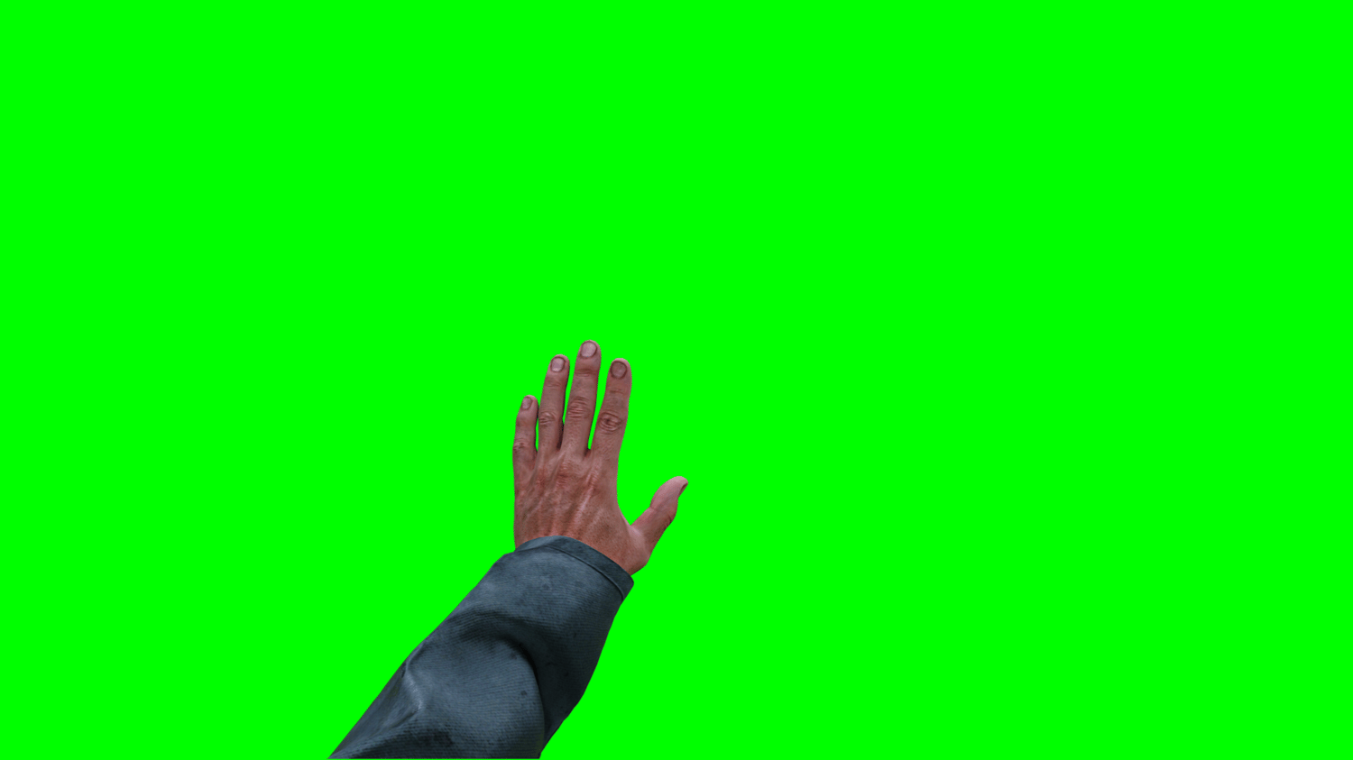 Wait Hand Gesture