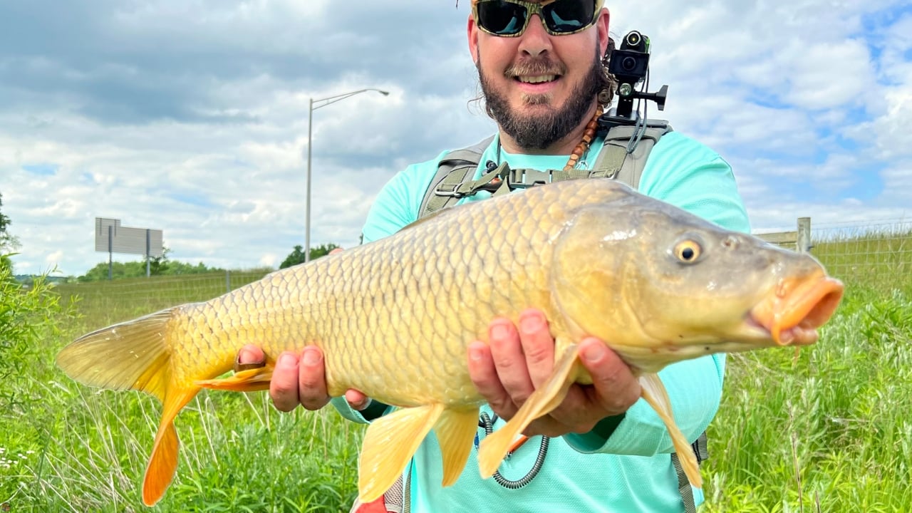 Fly fishing guide Matt Campbell with an Ohio marsh carp landed on the Carp Vader Dark Hybrid carp fly.