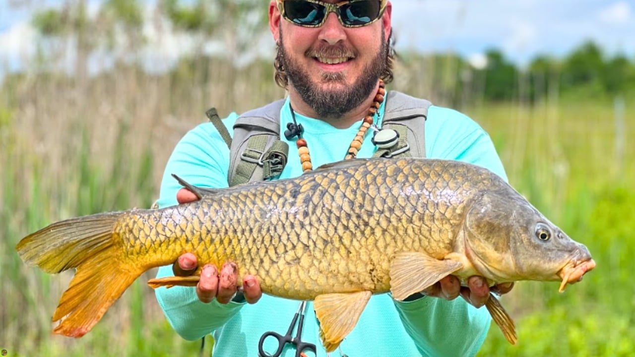 Fly fishing guide Matt Campbell holding an Ohio marsh carp caught on the Carp Vader Dark Hybrid fly.