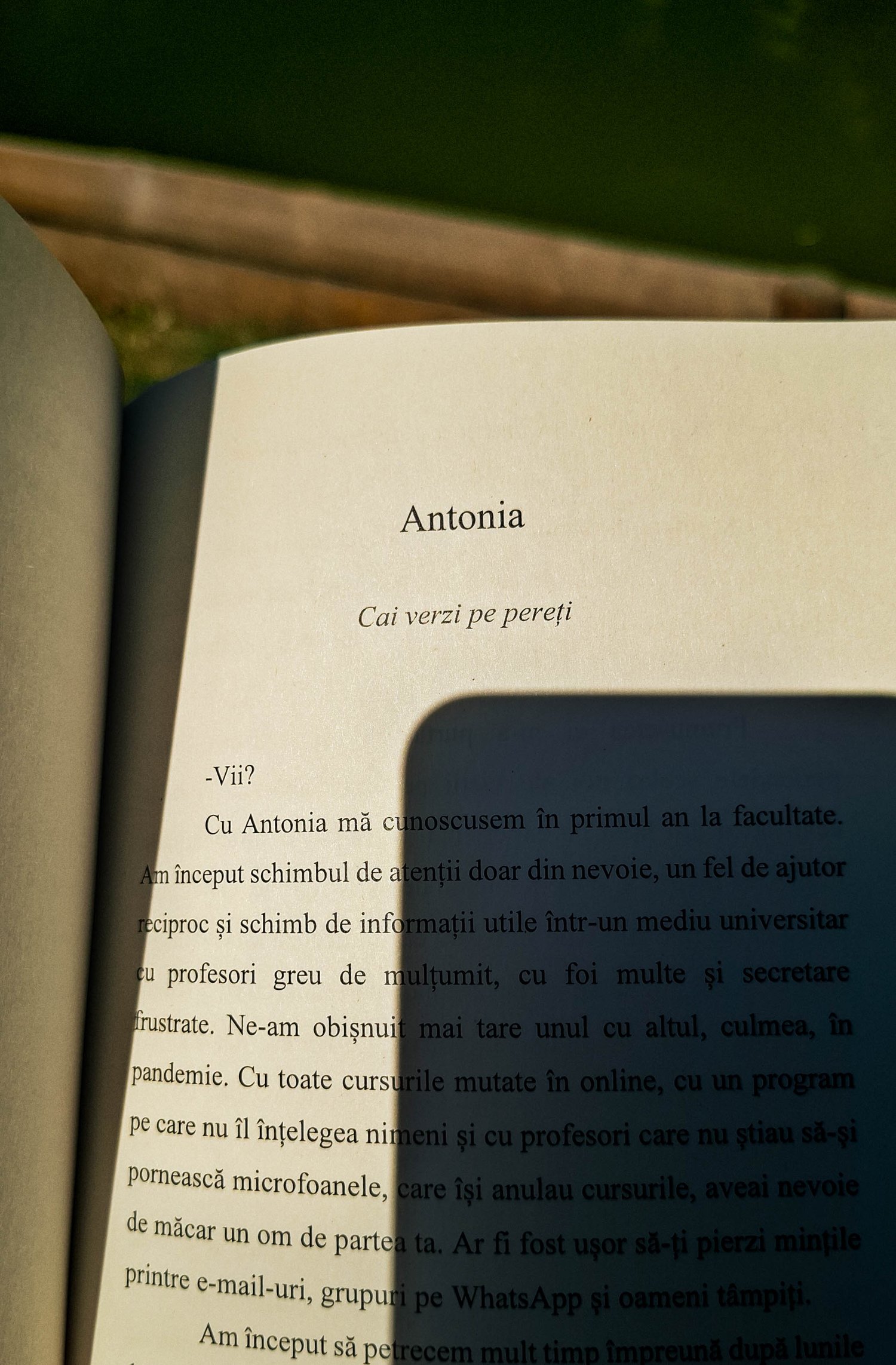 Interiorul romanului „Crivățul” de Daniel F. Mihoc, deschis la capitolul „Antonia”