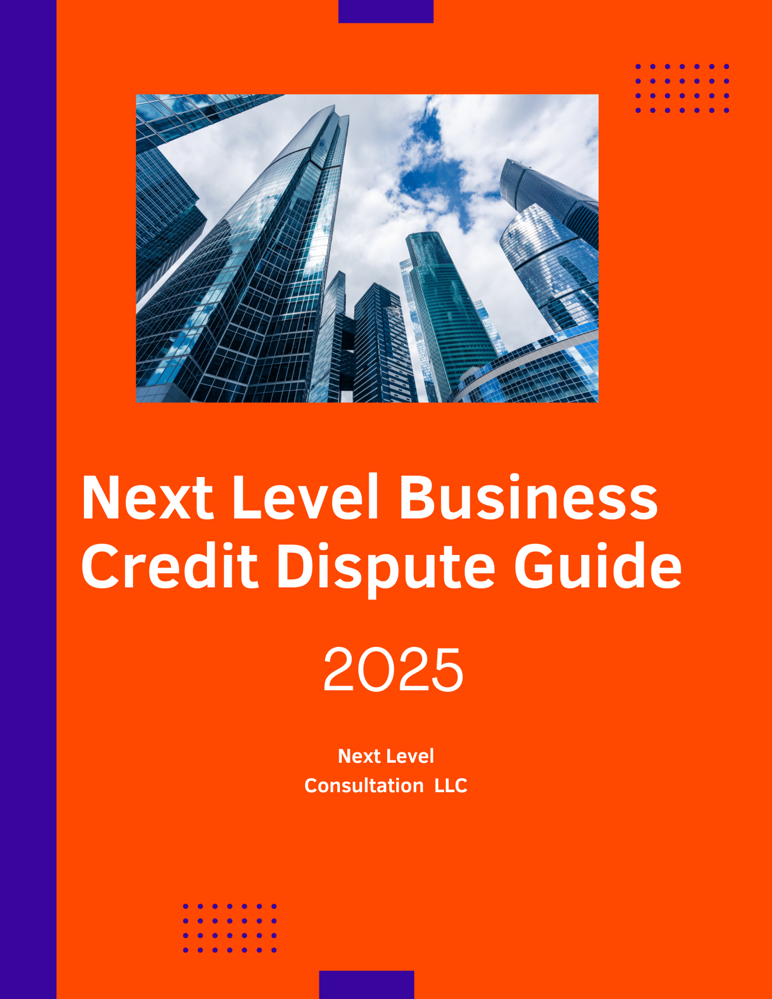 Next Level Business Dispute Guide